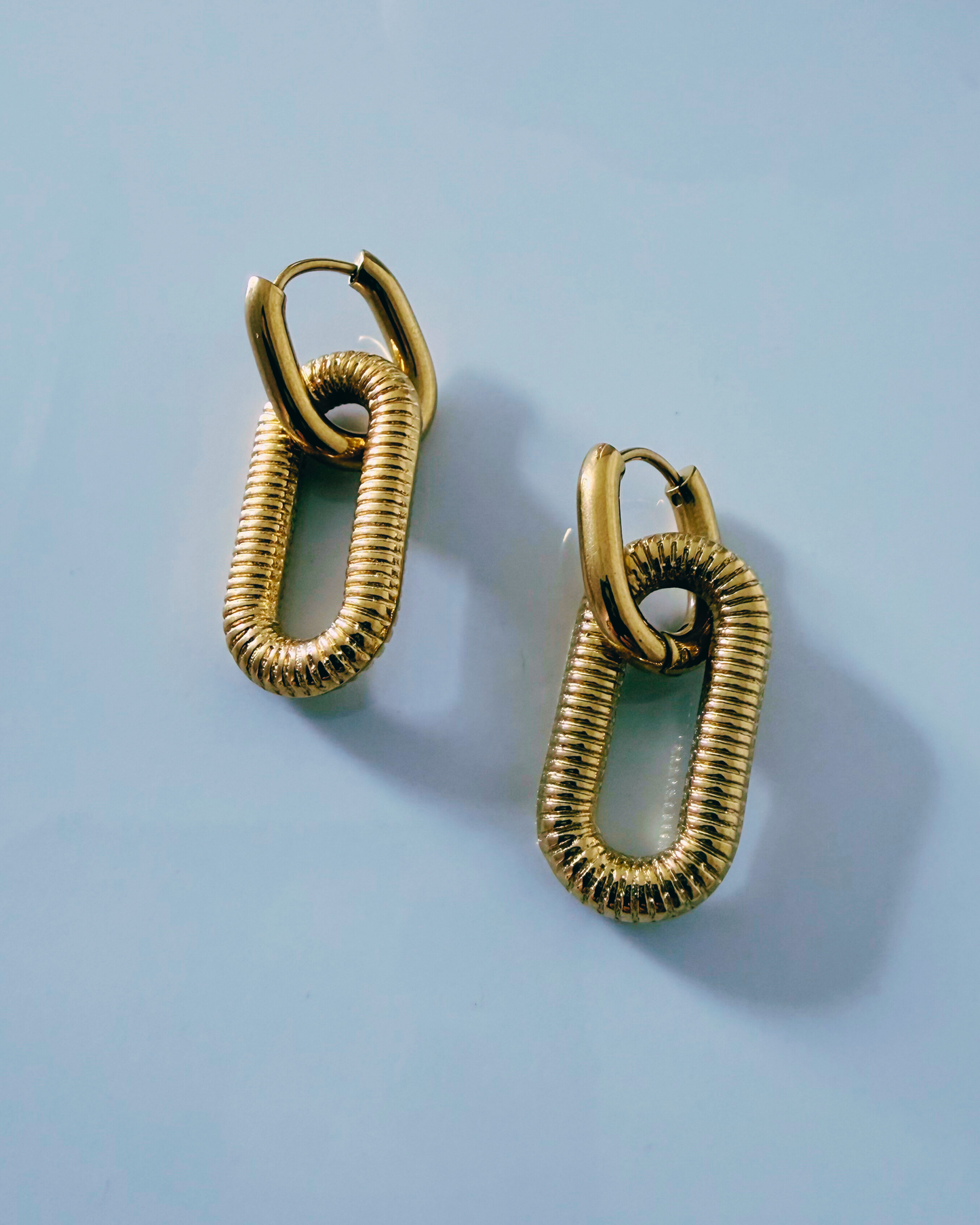 Golden Loop Earrings